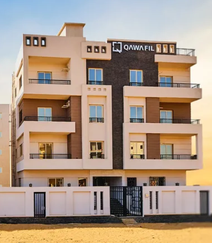    النرجس الجديدة